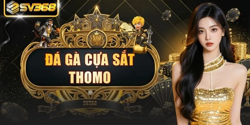 Đá Gà Cựa Sắt Thomo | Xem Trực Tiếp 24/7 Nhận Ngay 88k