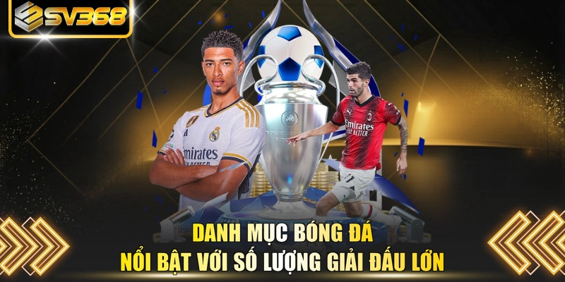 Danh mục bóng đá nổi bật với số lượng giải đấu lớn 