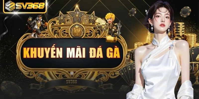 Khuyến Mãi Đá Gà Hấp Dẫn Nhất 2026 Giúp Tối Ưu Giá Trị Cược