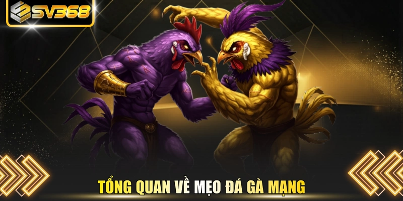 Tổng quan về mẹo đá gà mạng
